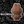 Load image into Gallery viewer, Choc-A-Bubu 🤎
